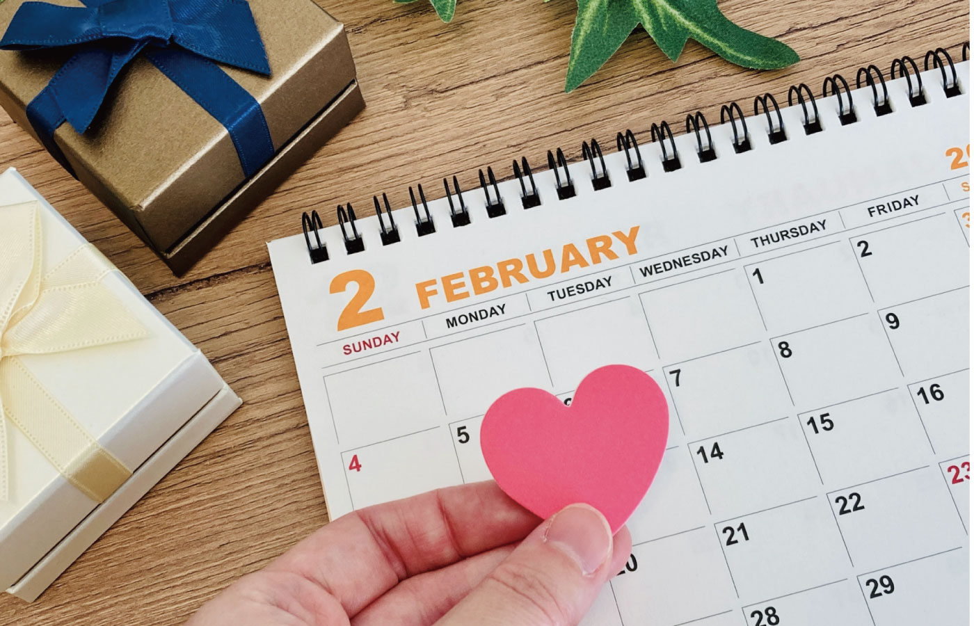 【コラム】二月、如月の不思議な古代からの時間の流れ