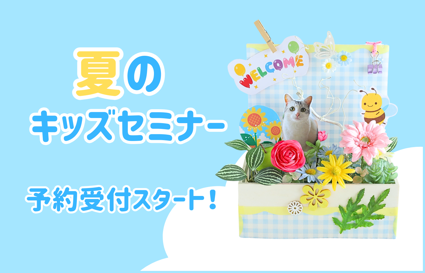 夏のキッズセミナー予約スタート